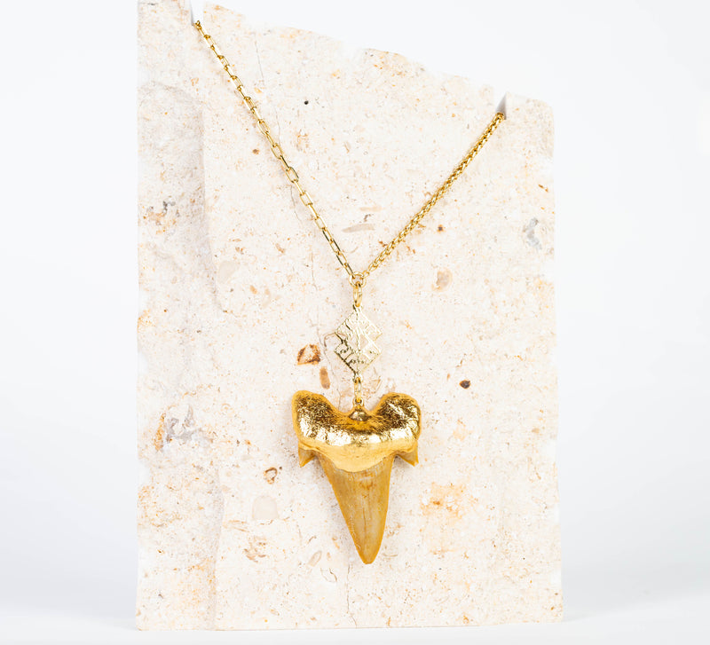 Gold Dipped Shark Tooth Necklace